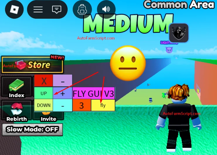 Fly Script